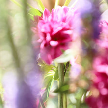 Load image into Gallery viewer, Butterfly Ring