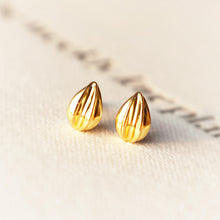 Load image into Gallery viewer, Seed Earrings
