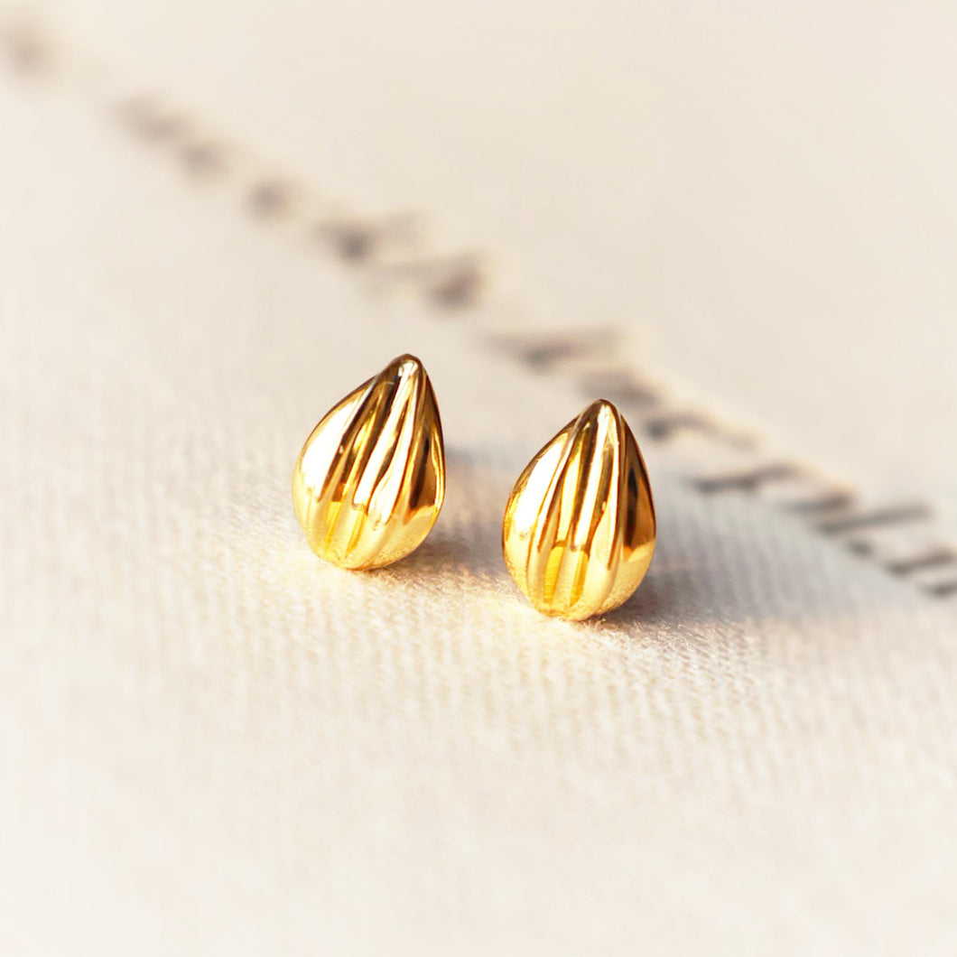 Seed Earrings