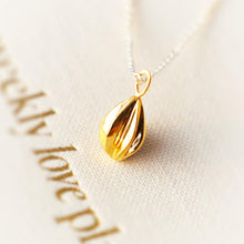 Load image into Gallery viewer, Seed Necklace
