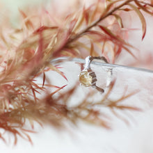 Load image into Gallery viewer, Golden Rutilated Quartz Earcuff
