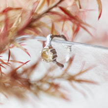 Load image into Gallery viewer, Golden Rutilated Quartz Earcuff
