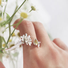 Load image into Gallery viewer, Chamomile Heliodor Aquamarine Ring
