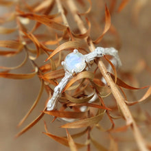 Load image into Gallery viewer, Twig Moonstone Ring
