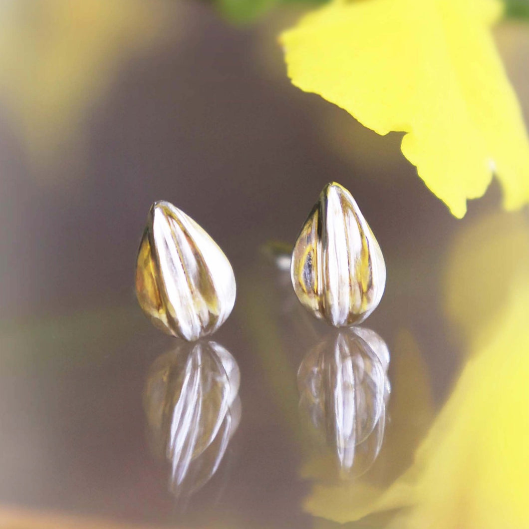 Seed Earrings